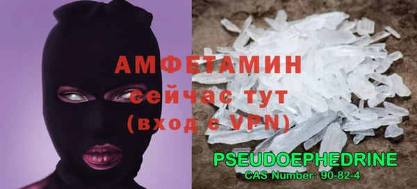 индика Белокуриха