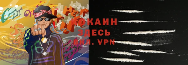 индика Белокуриха