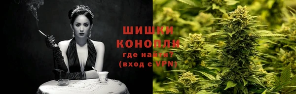индика Белокуриха