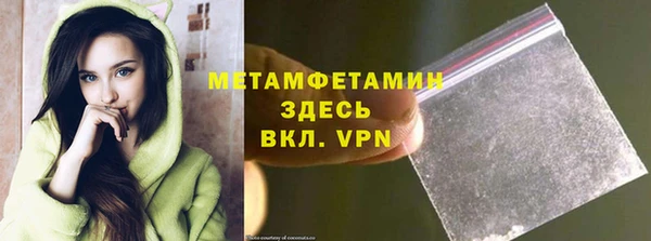 индика Белокуриха