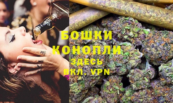 индика Белокуриха