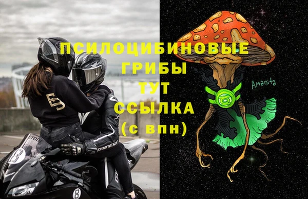 сатива Богданович