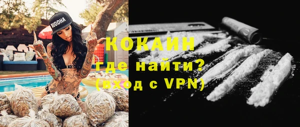 сатива Богданович