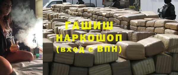 индика Белокуриха