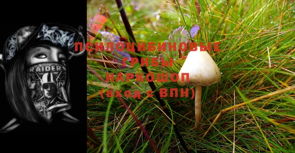 стафф Богородицк